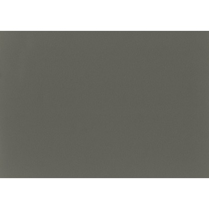 Gris Quartz Structure Fine