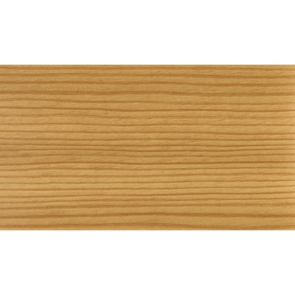 sosna górska 3069041