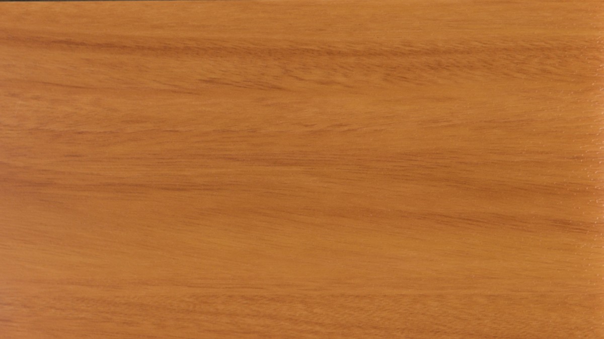 shogun 49198.1200w.jpg